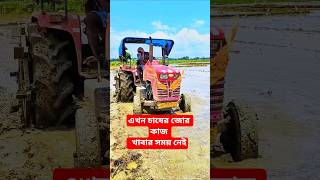 Mahindra 595 DI Cultivate in Deep Mud 🌾🔥 | Powerful Mud Cultivation