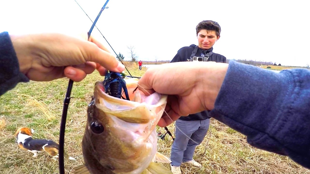 Searching for HUGE Bass with Apbassing
