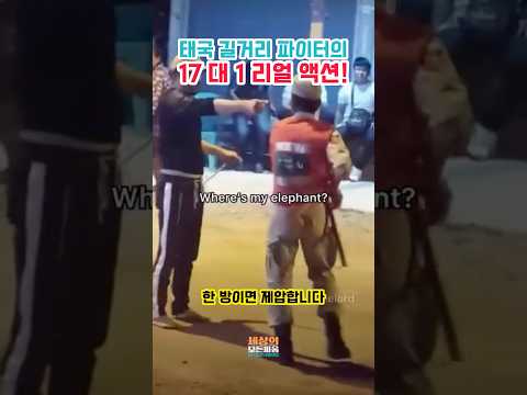 (4M🎉)태국판 '테이큰'? 코끼리 도둑 잡는 남자의 무시무시한 액션! "Thailand's Answer to Liam Neeson?"