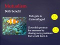 Types of Symbiosis and Their Effects