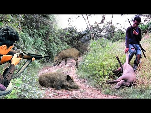 BERBURU NYANGGONG KUBANGAN POIN BABI HUTAN JANTAN ‼️ berburu babi penghuni kubngan