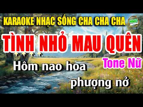 Tình Nhỏ Mau Quên Karaoke Cha Cha Cha Hải Ngoại Tone Nữ – Beat Phối Mới 2026 CỰC HAY VÀ DỄ HÁT