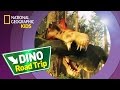 Spinosaurus: Facts and Features