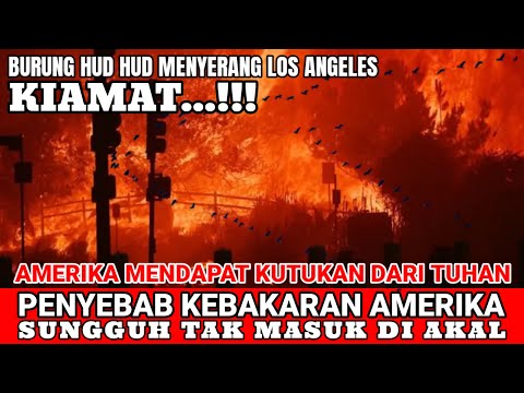 Detik Detik Segerombolan Burung Hud Hud Muncul Di Los Angeles