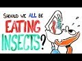 Exploring the Future of Food: Insects as a Sustainable Protein Source