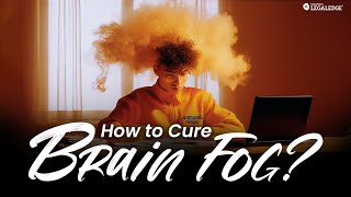 CLAT Exam Prep: How to Beat Brain Fog (Practical Tips for Students!)