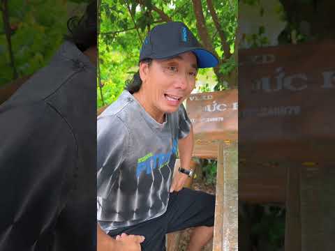 Không sợ vợ | Sinl #shorts