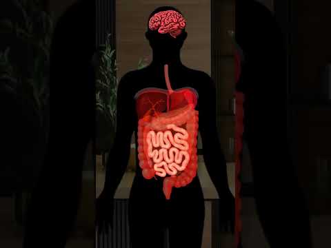 El sistema inmunológico🧠🤒
