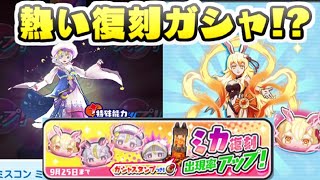 ぷにぷに 超人気キャラのミスコンミカも復刻のギンガウォッチ付きガシャ！　妖怪ウォッチぷにぷに　レイ太