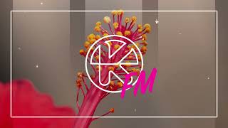 Daniel Portman & Croatia Squad – Own the Night (Henri [BR] Remix)