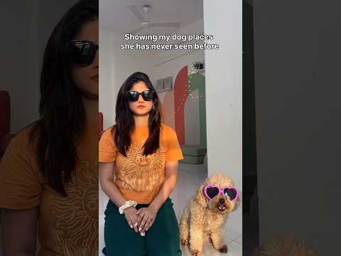 Funny Dog Reactions On Human Stuff🤣 #shorts #dog #funny