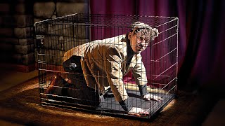 A hamster’s Masterclass on dying.