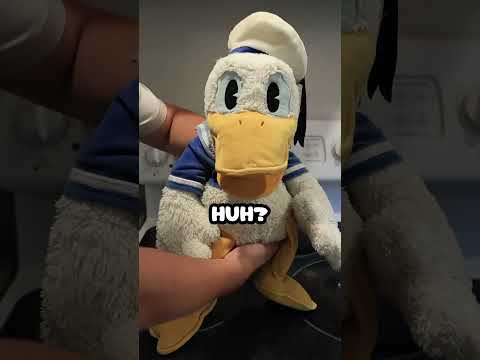 Donald Ducc Wants You To Wait Till The End