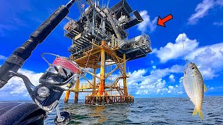 Fishing a LIVE BAIT! under this GAS PLATFORM for my DINNER! [Catch, Clean, Cook]