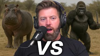 Hippo vs Gorilla with a Knife. Who Wins?