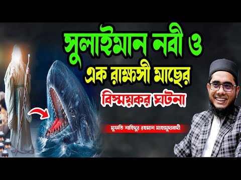 সুলাইমান নবী ও এক রাক্ষসী মাছের ঘটনা শাহিদুর রহমান মাহমুদাবাদী ওয়াজ ২০২৫ new waz