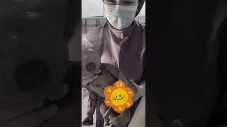 Second pregnancy 🤰 Baby out ! 😍 #birthvlog  #viral  #pregnancyvideo