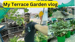छत पर बनाया सब्जियां का बगीचा My Terrace garden vlog