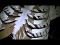 Human Skeletal System Concepts