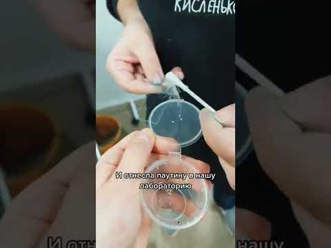 На что ещё посмотрим в микроскоп?