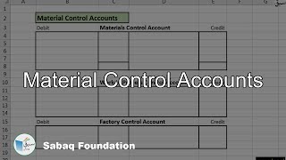 Material Control Accounts