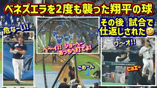 逆襲⁉️大谷の打撃練習で襲われるチームベネズエラ😱その後まさかの…🤣【現地映像】WBC準々決勝vsベネズエラShoheiOhtani