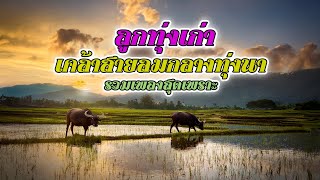 รวมเพลงลูกทุ่งเก่า เพลงเพราะเคล้าสายลม