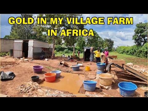 OMG! There is GOLD In my farm in Africa / Finding the Village Thieves