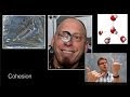 Exploring the Polarity of Water and Its Life-Sustaining Properties