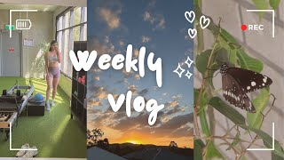 Weekly vlog , my butterfly finally hatched! Gym, Shein Haul , Slow living.....