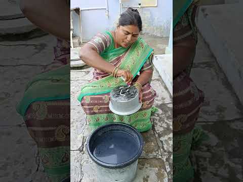 తెలివంటే నాదే నాదే 😂 || Crazy Wife #viralvideos #comedy #shorts #trending #waitforend #youtubeshorts