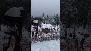 2025 Grouse Mountain Vancouver British Columbia Christmas  #Vancouver #British #Columbia #Christmas