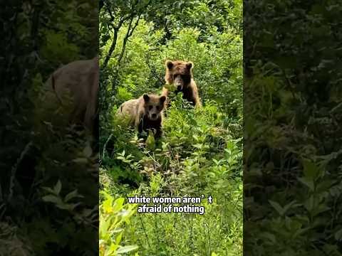 Bear 🐻 #bear #bears #bearlife #funny #shorts #short