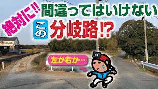 【探索ラン#31】絶対に‼ 間違ってはいけない この《分岐路⁉》 〜 そして湧き水へ｜神戸 西区