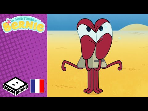 Le Poisson Clown | Les aventures de Bernie | @boomerangFR