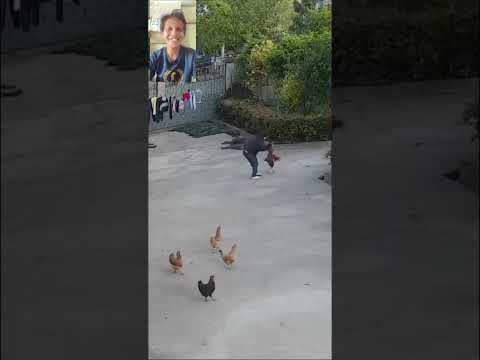 Ang kulit