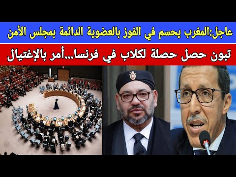 بووووم: فرنسا تعلن حسم المغرب الفوز بالعضوية الدائمة بمجلس الأمن/تبون حصل حصلة لكلاب