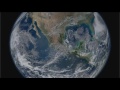 Exploring the Basics of Ecology