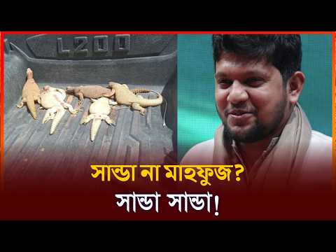 ডানে শান্ডা বামে শান্ডা! চারিদিকে শুধু কফিলের শান্ডা। MBA Times