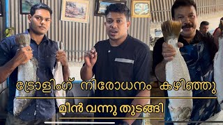 ട്രോളിംഗ് നിരോധനം കഴിഞ്ഞു | മീൻ വില കൂടി | പാഞ്ചി പാപ്പൻ കാളാഞ്ചി 500 പീസ് ആക്കി വെട്ടുന്ന കണ്ടോ ✅