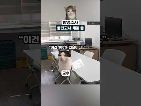 함정수사 #고양이밈