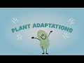 Plant Adaptations and Survival Strategies