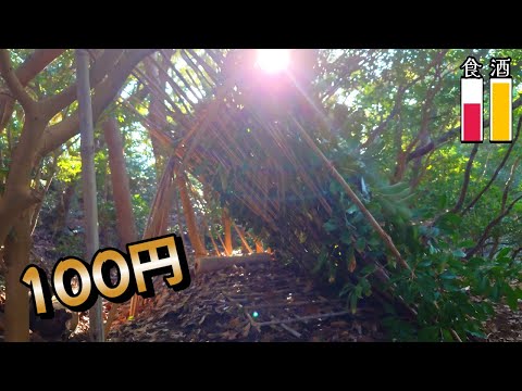 AIと行く　3日間無人島サバイバル