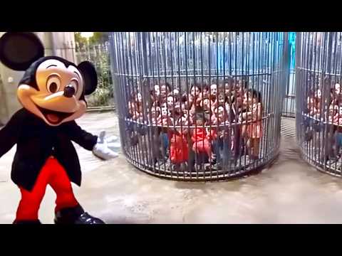 Het GEHEIM Dat Disney NIET Wil Dat Je Weet...