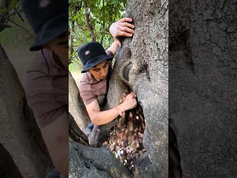 I Found a Treasure Chest Hidden 100 Years Ago!