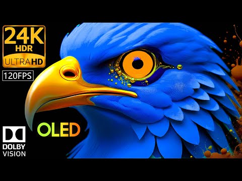 24K HDR 120FPS Nature's Symphony | Dolby Vision