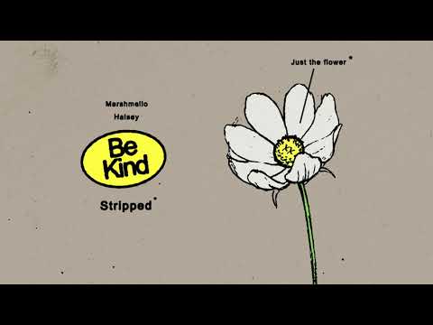 Marshmello & Halsey - Be Kind (Stripped)