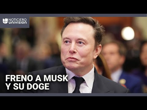 Musk y su DOGE no podrán acceder a datos del Departamento del Tesoro, dice un juez federal