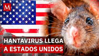 Alarma por Hantavirus: Reportan víctima mortal en Colorado tras brote en crucero