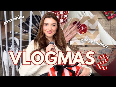 Świąteczna WIZYTA W SCHRONISKU! 🐶 robimy DIY kalendarz adwentowy i stawiamy choinkę!🌲 | VLOGMAS 2024